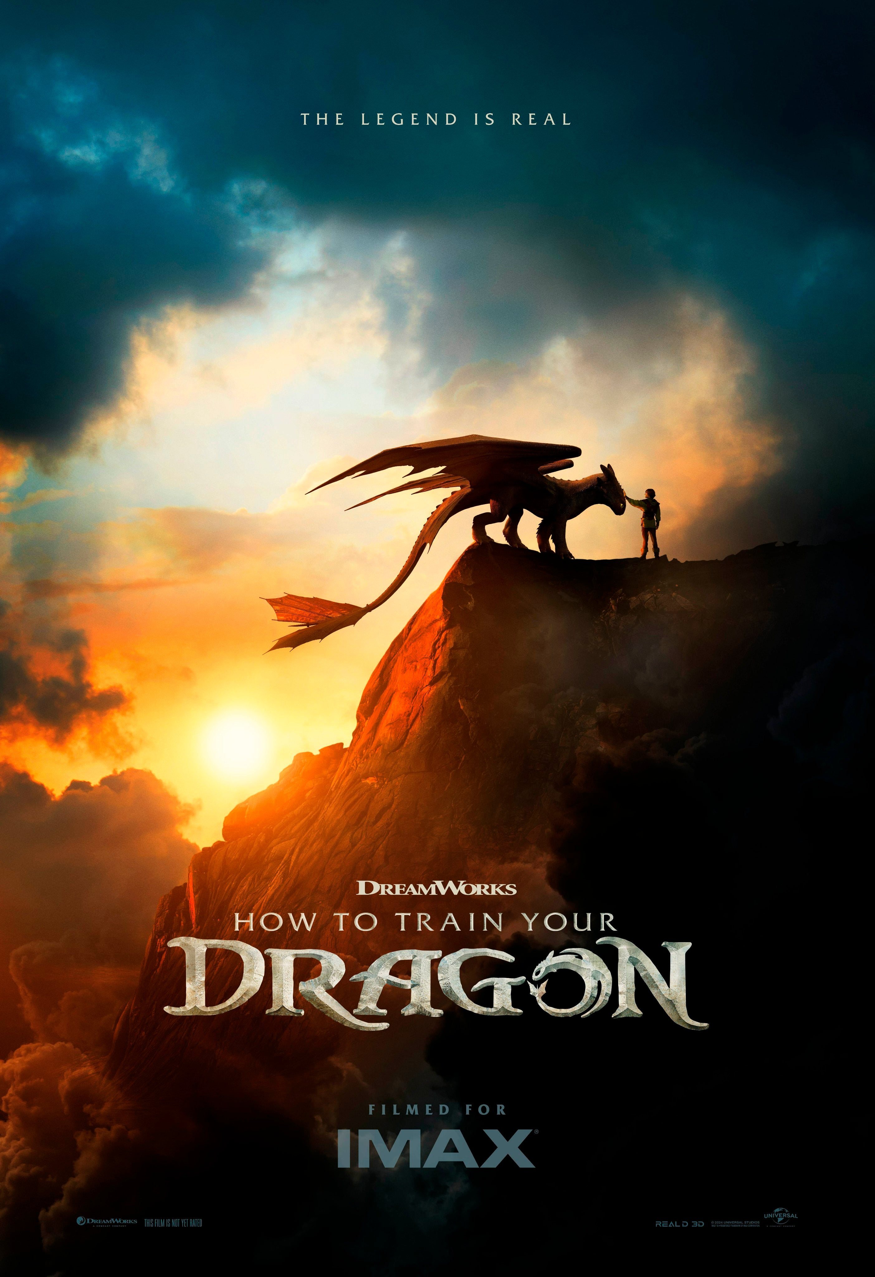 How to Train Your Dragon (2025) - POSTER