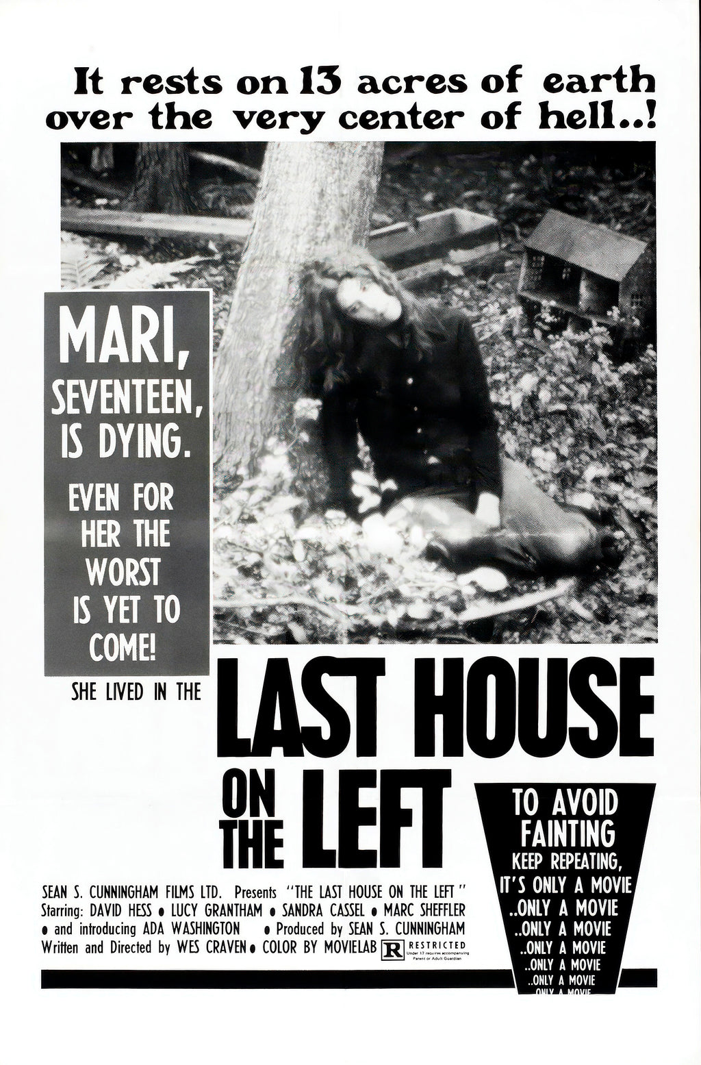 The Last House on the Left (1972) - POSTER