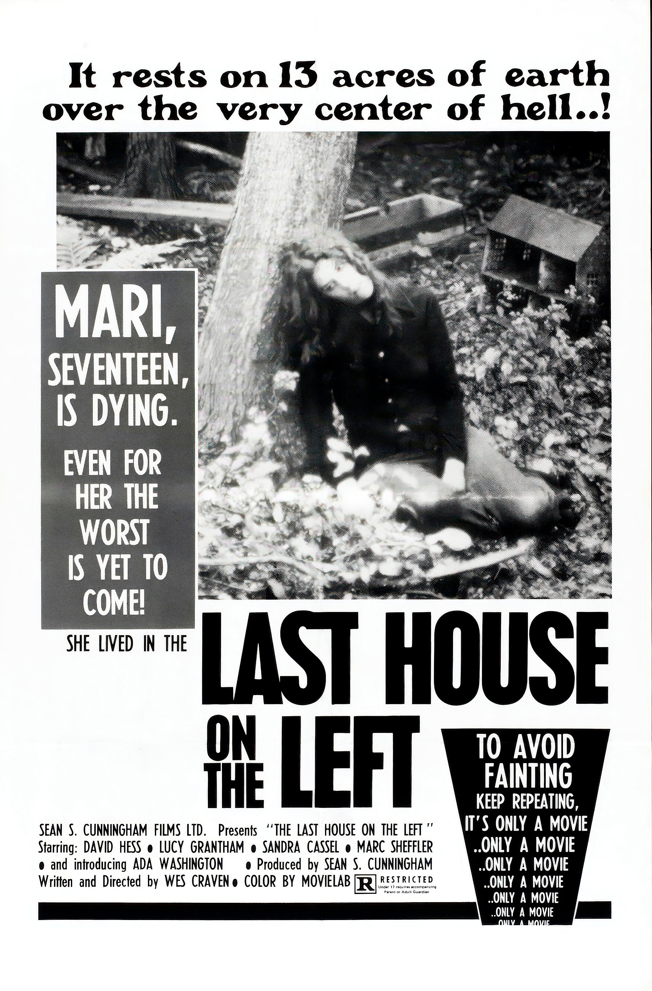 The Last House on the Left (1972) - POSTER