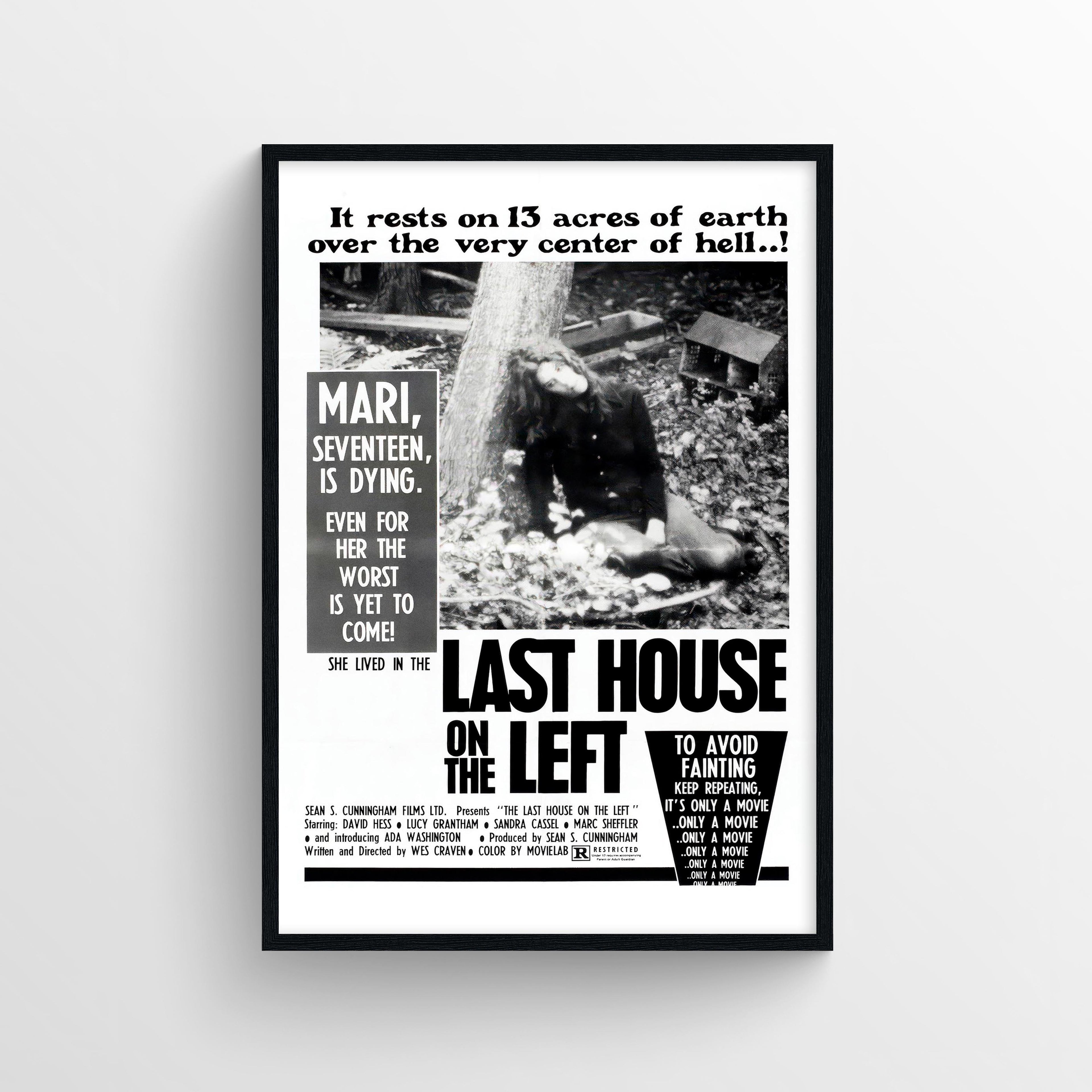 The Last House on the Left (1972) - POSTER