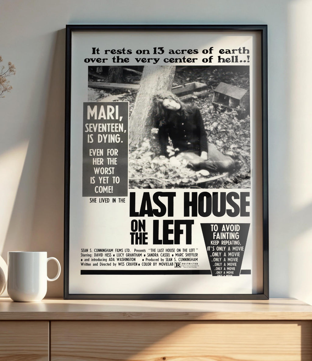 The Last House on the Left (1972) - POSTER