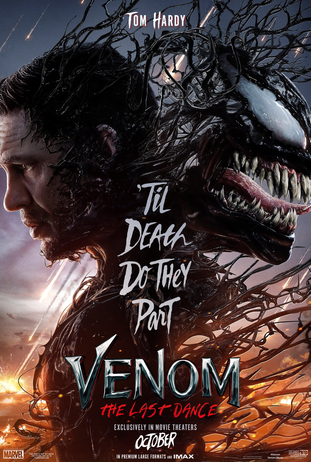 Venom  The Last Dance  (2024) A - POSTER