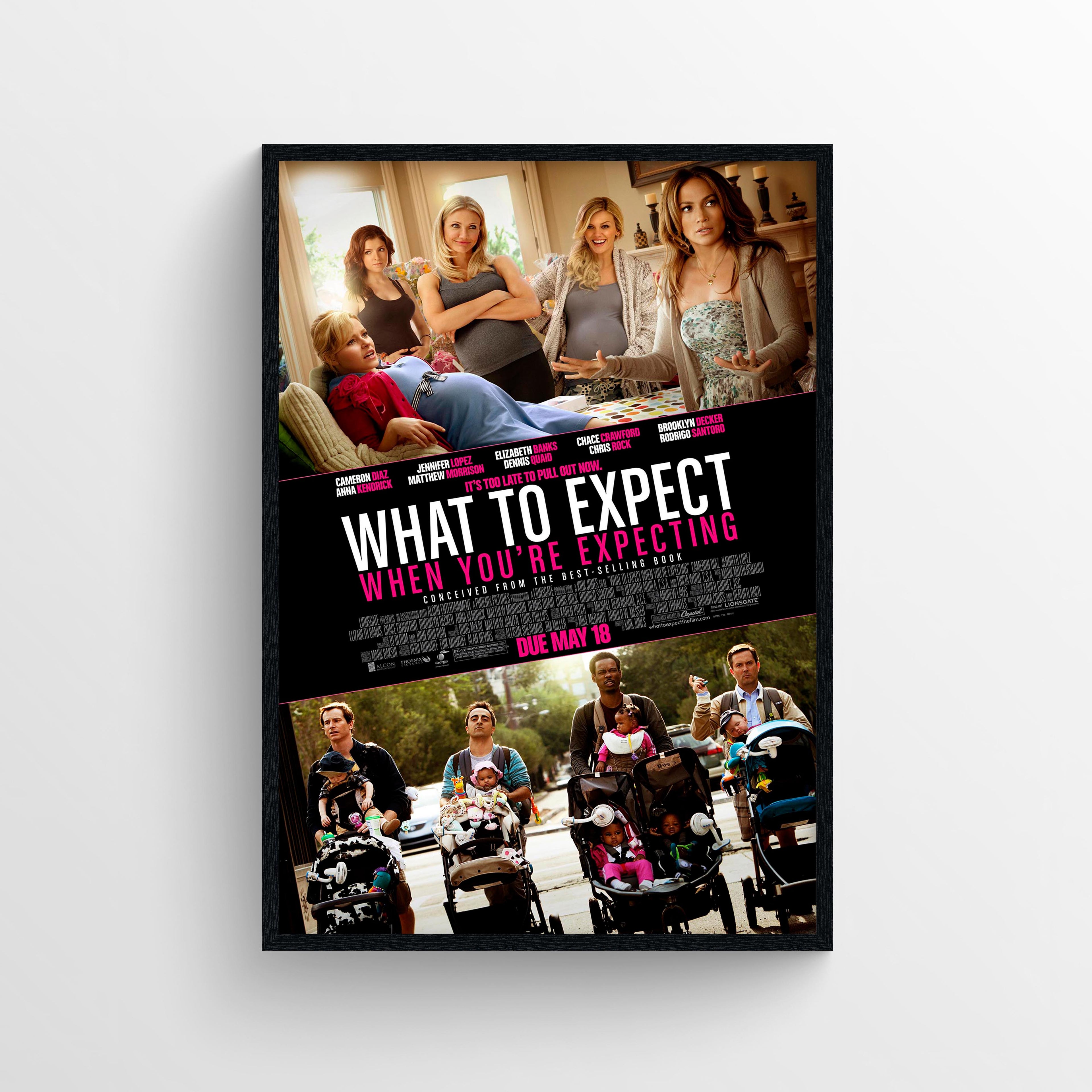 What to Expect When You're Expecting (2012) - POSTER