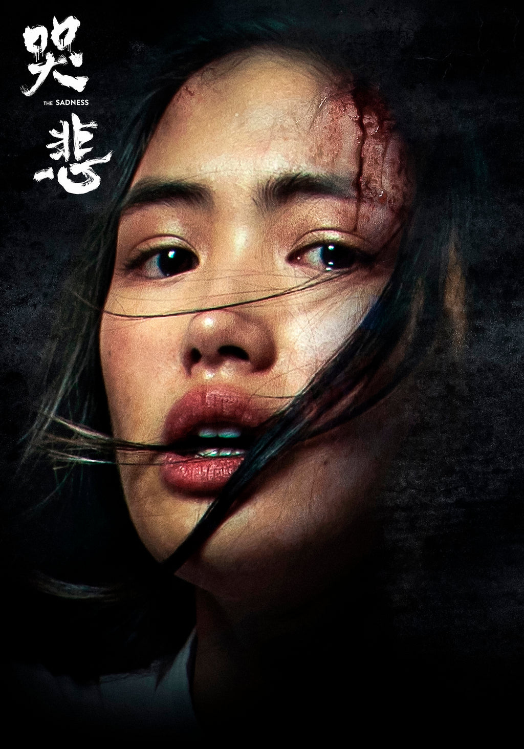 The Sadness (2008) - POSTER