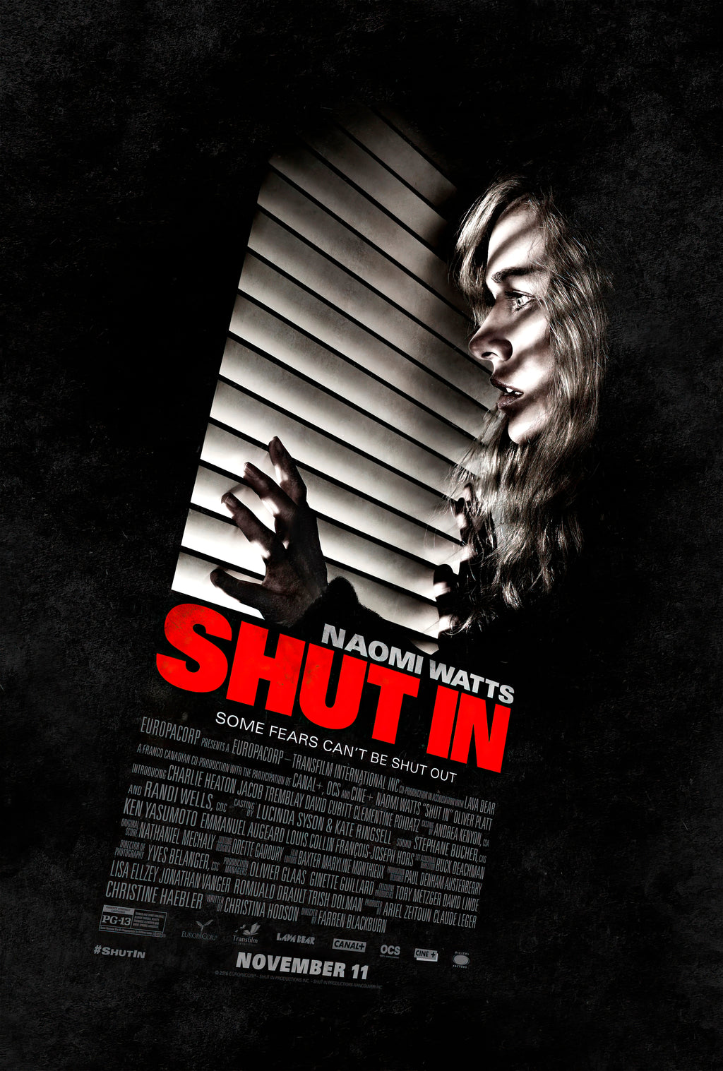 Shut In (2016) A - POSTER