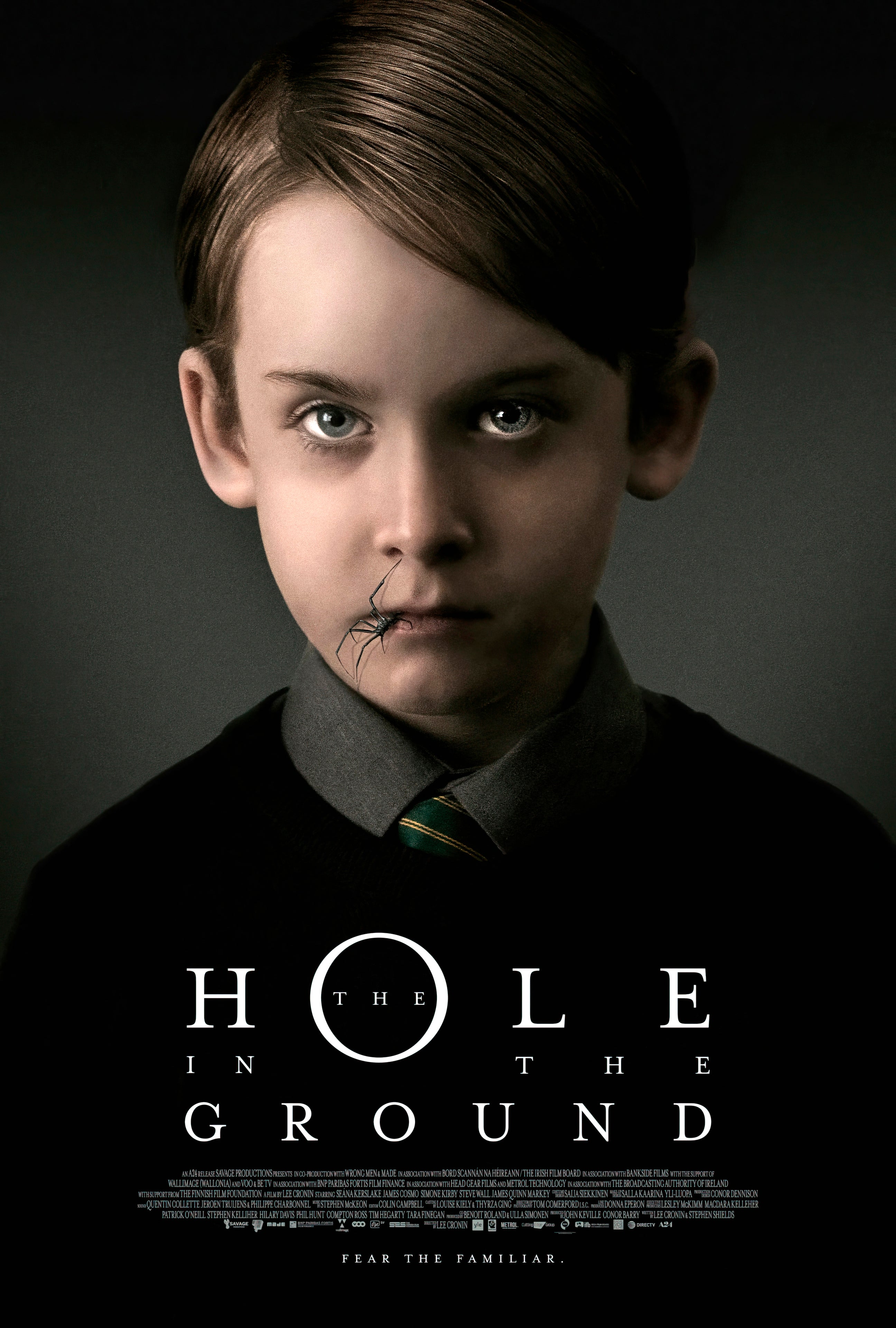 The Hole in the Ground (2019) A - POSTER