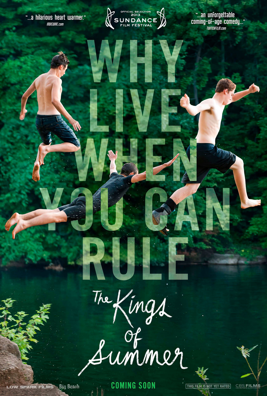 The Kings of Summer (2013) - POSTER