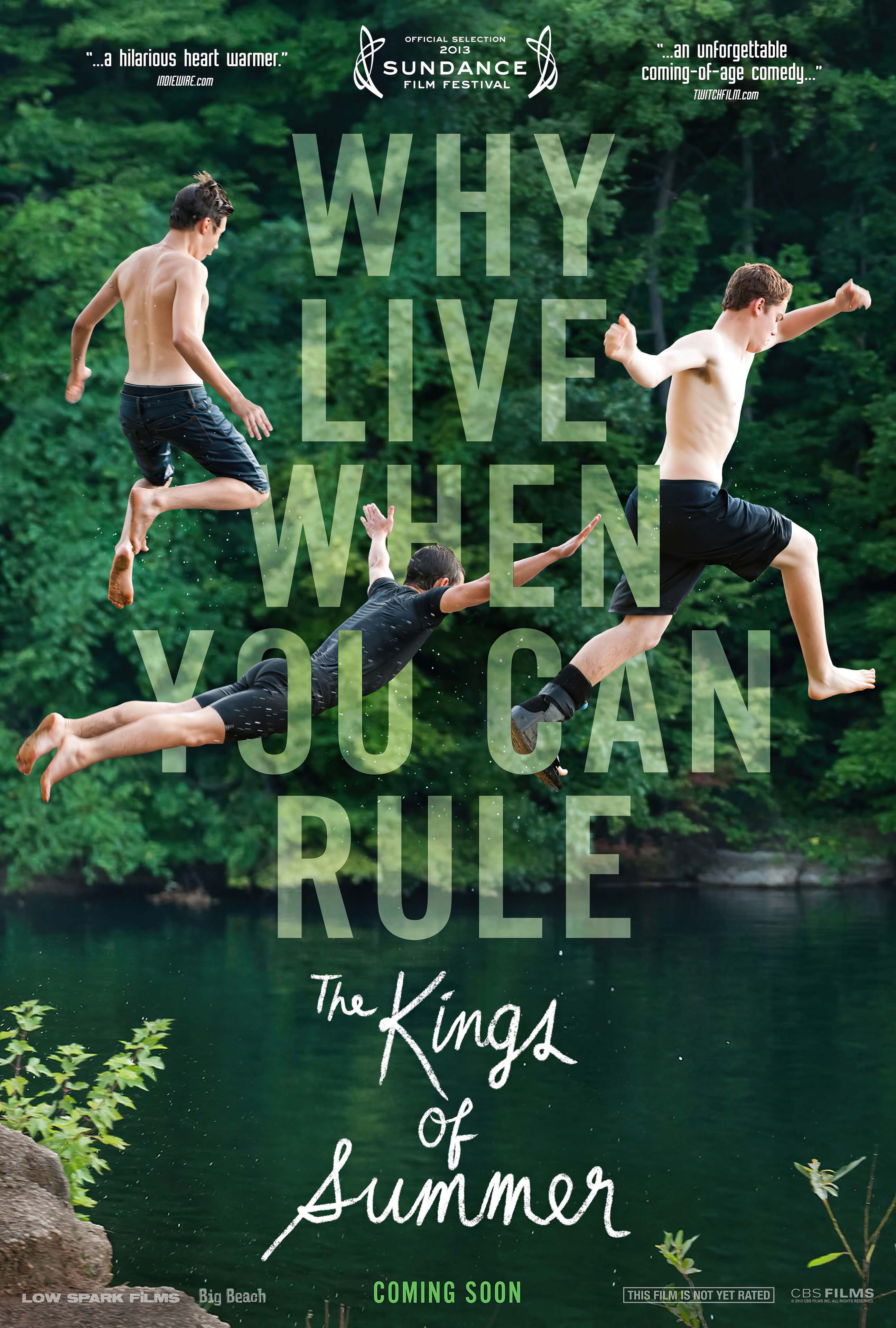 The Kings of Summer (2013) - POSTER
