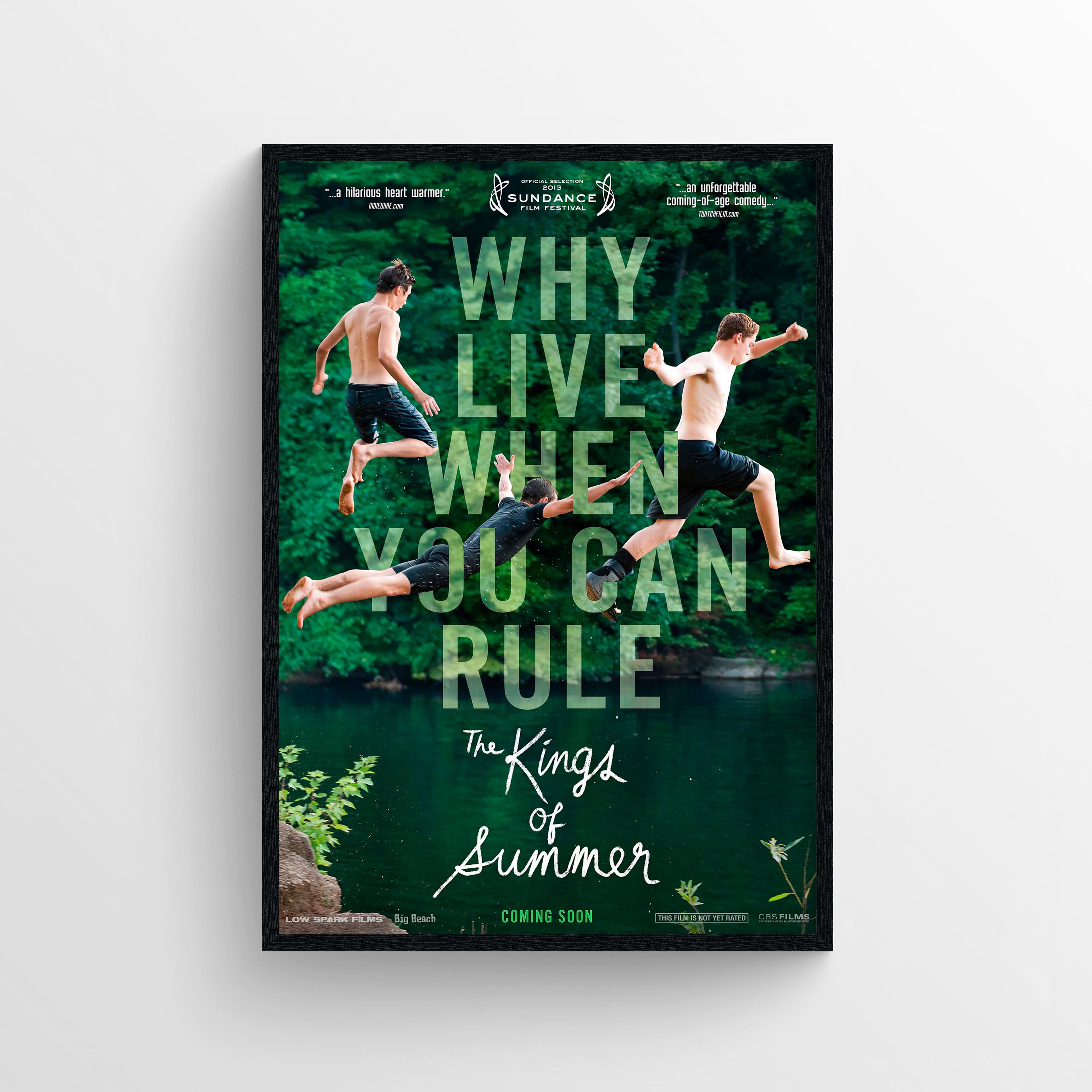 The Kings of Summer (2013) - POSTER
