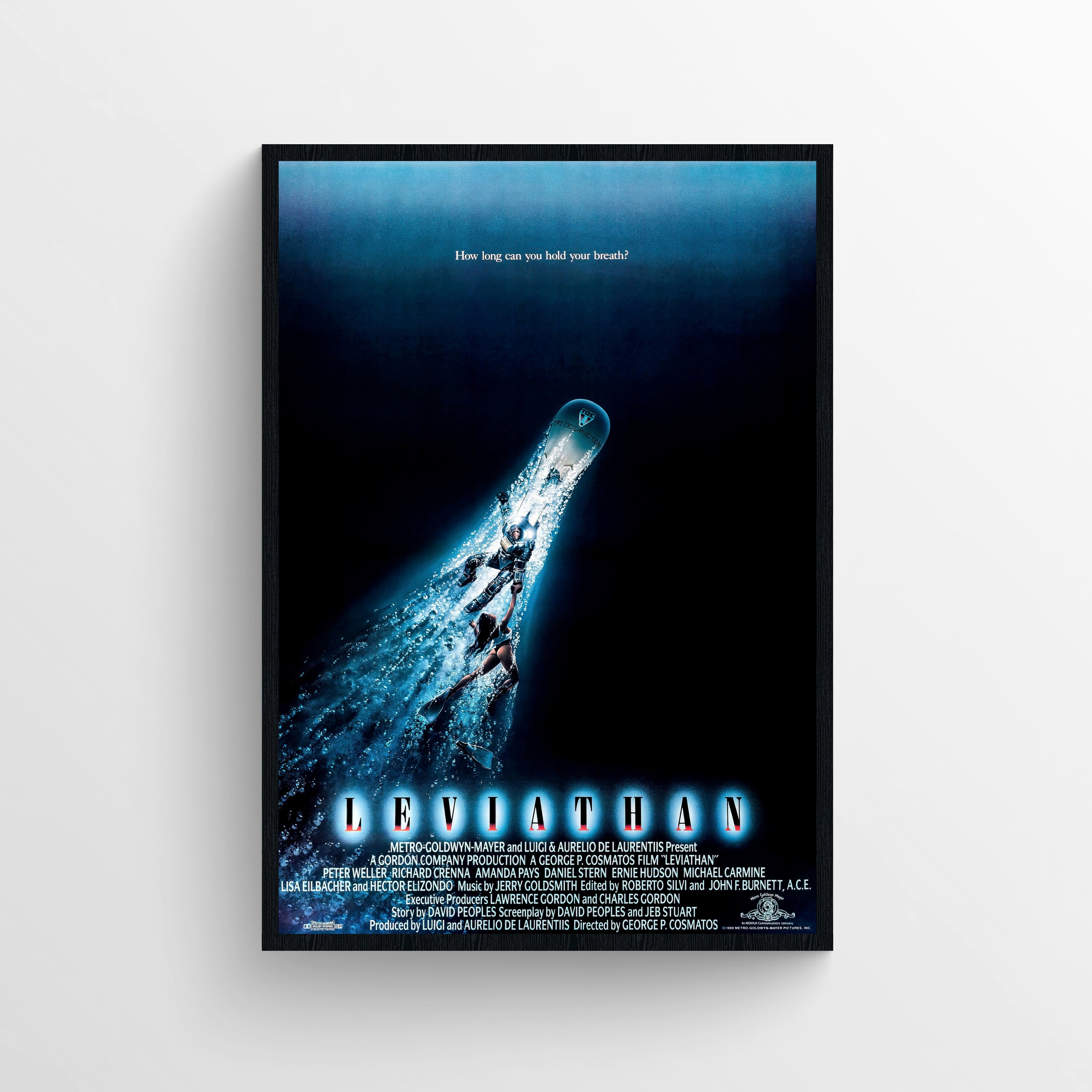 Leviathan (1989)
