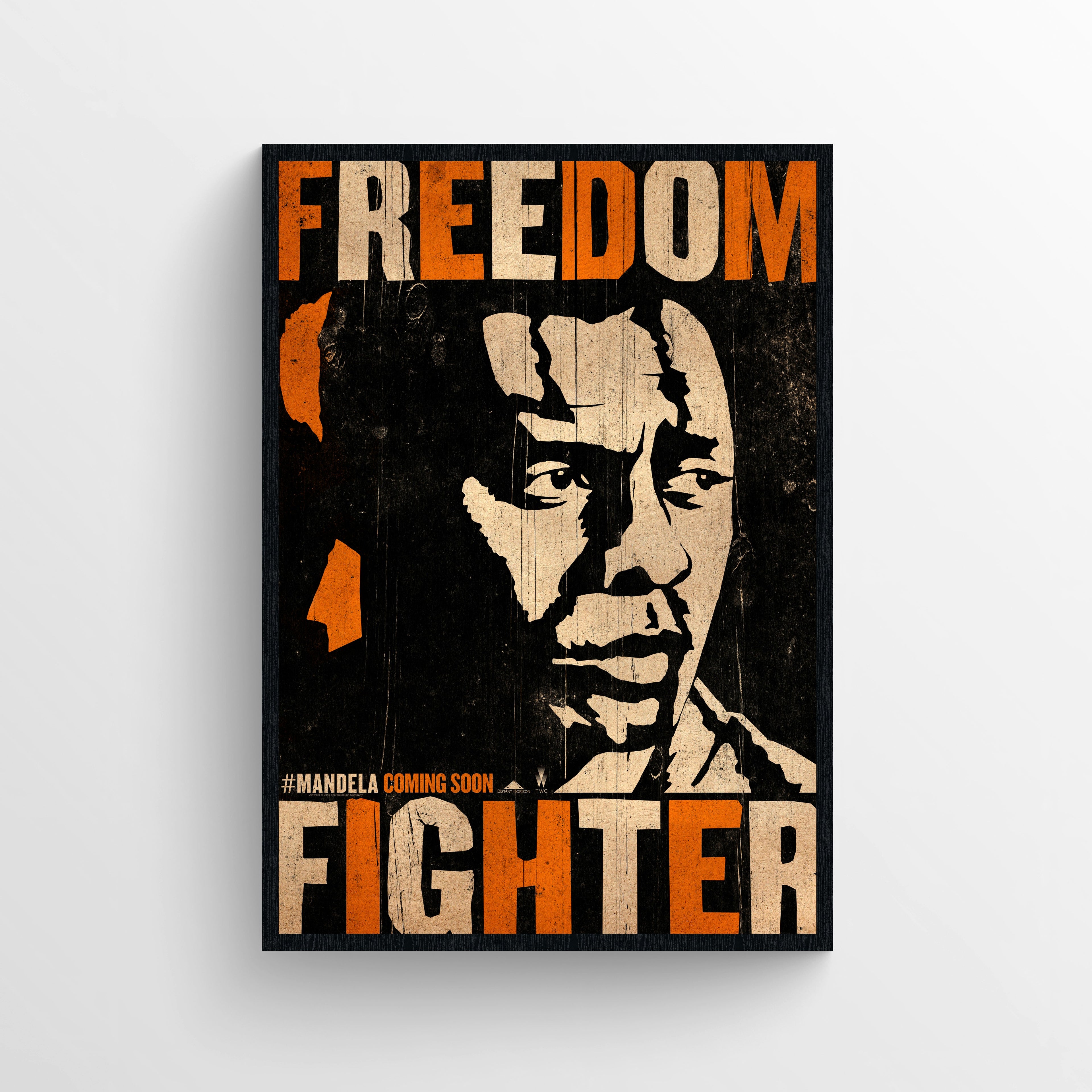 Mandela - Long Walk to Freedom (2013)
