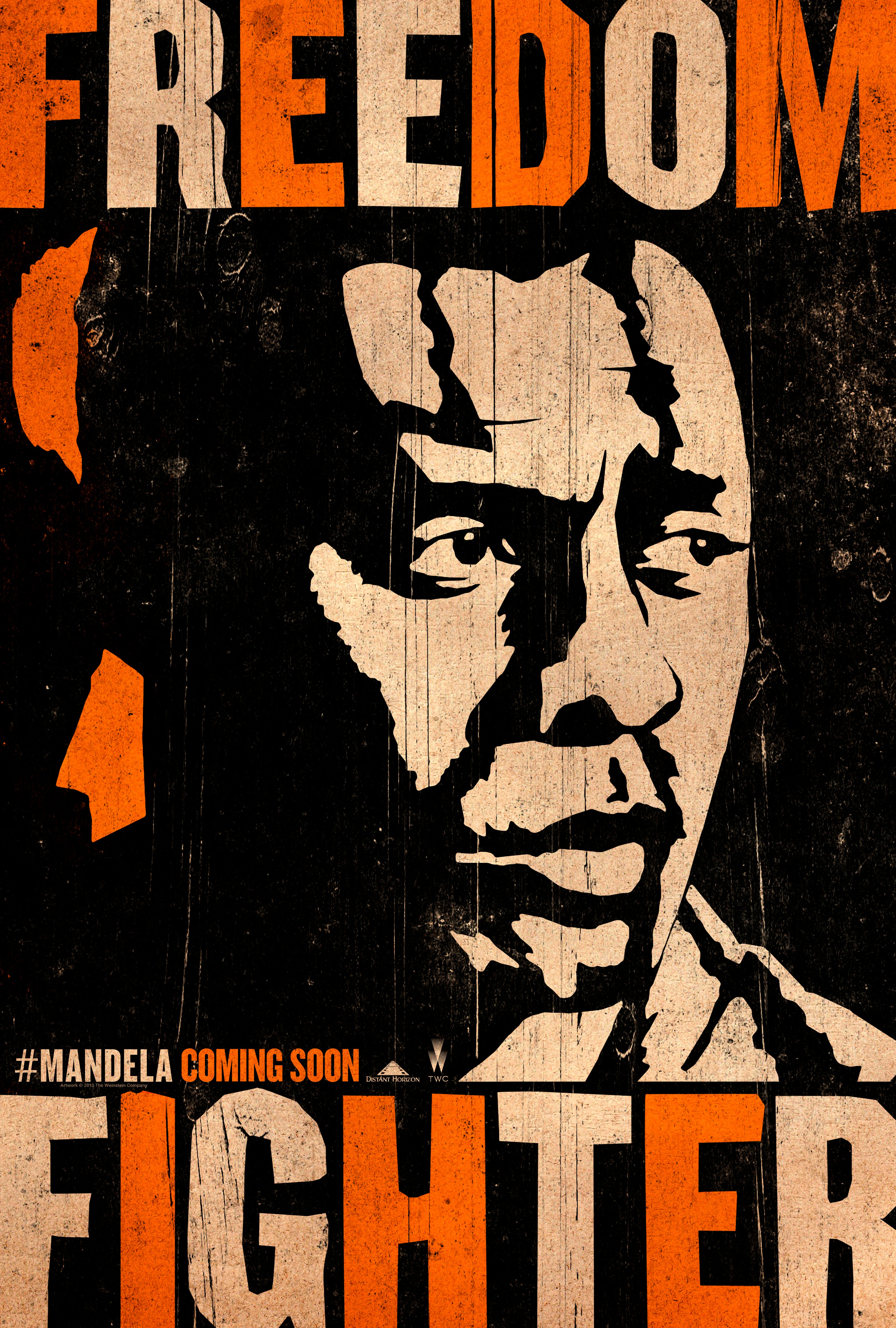 Mandela - Long Walk to Freedom (2013)