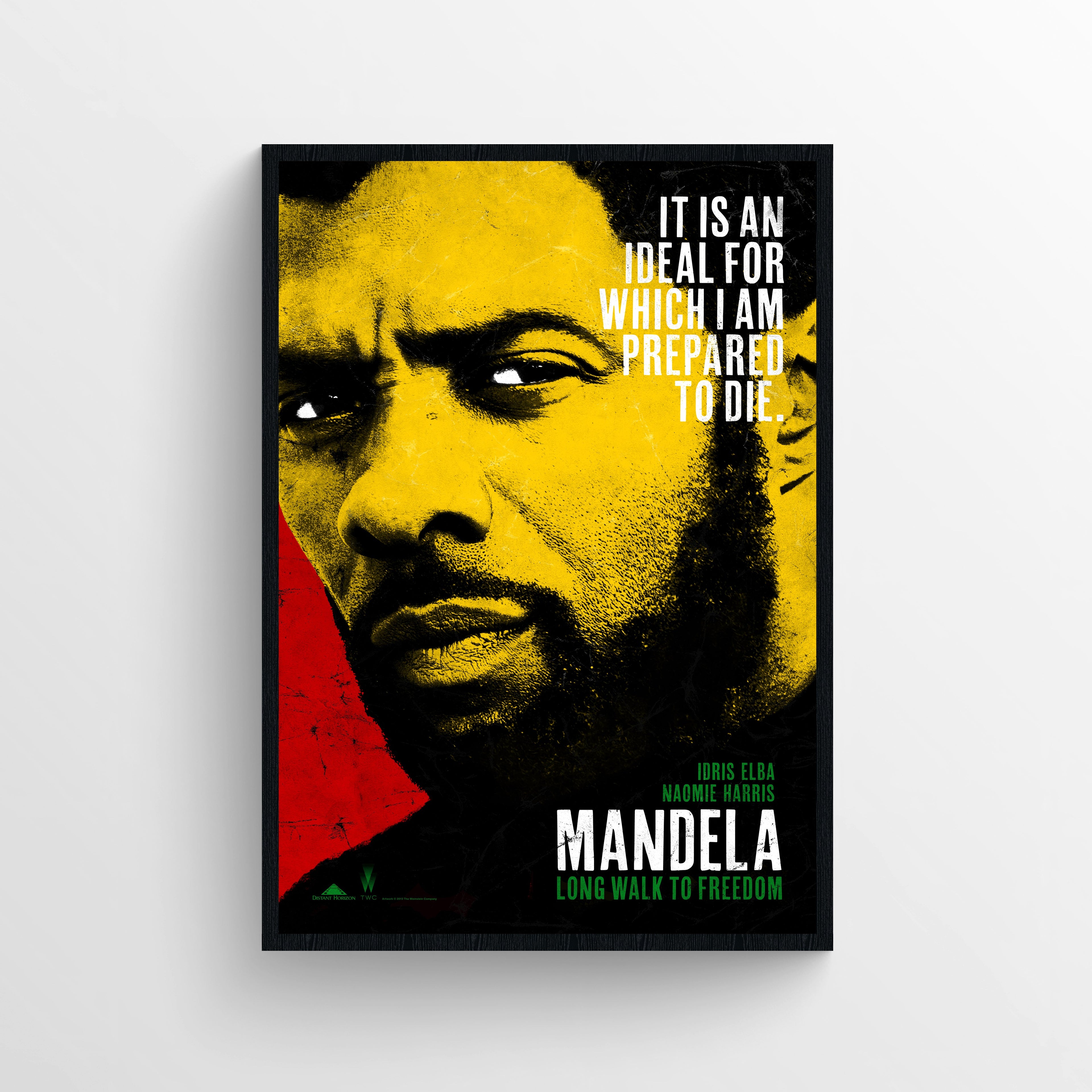 Mandela - Long Walk to Freedom (2013)