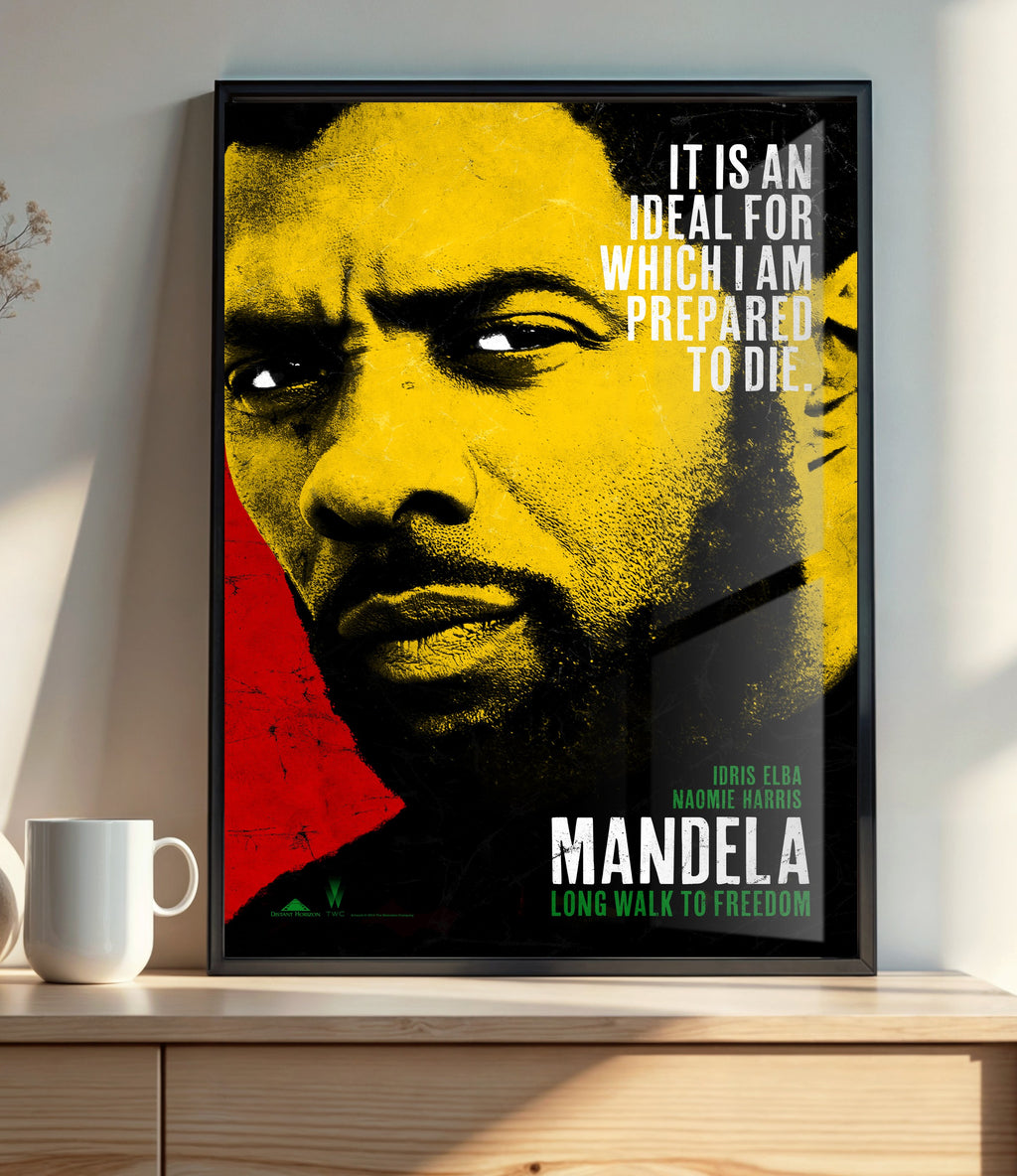 Mandela - Long Walk to Freedom (2013)