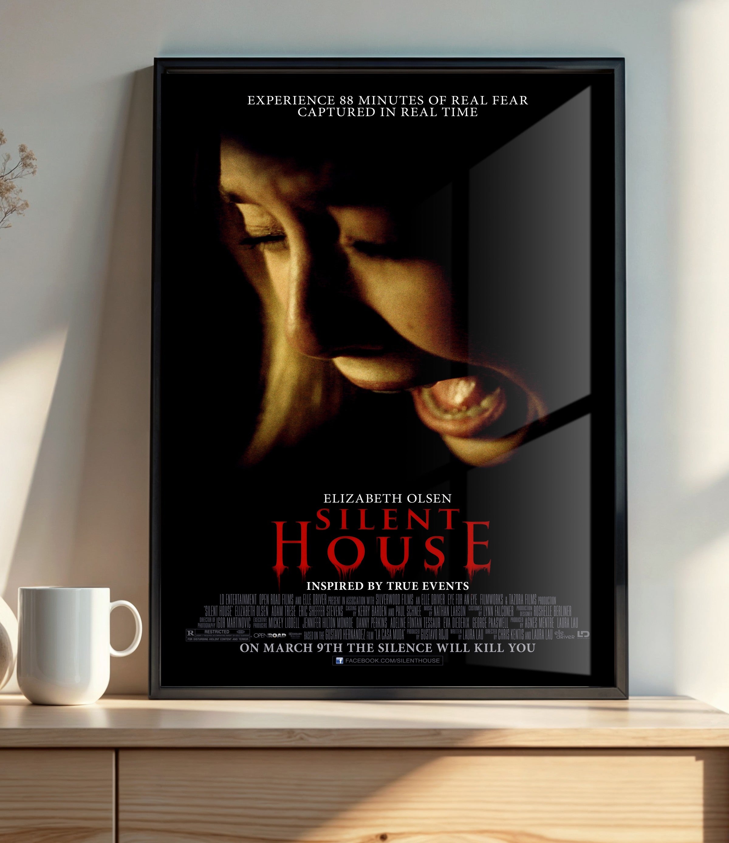 Silent House (2011)