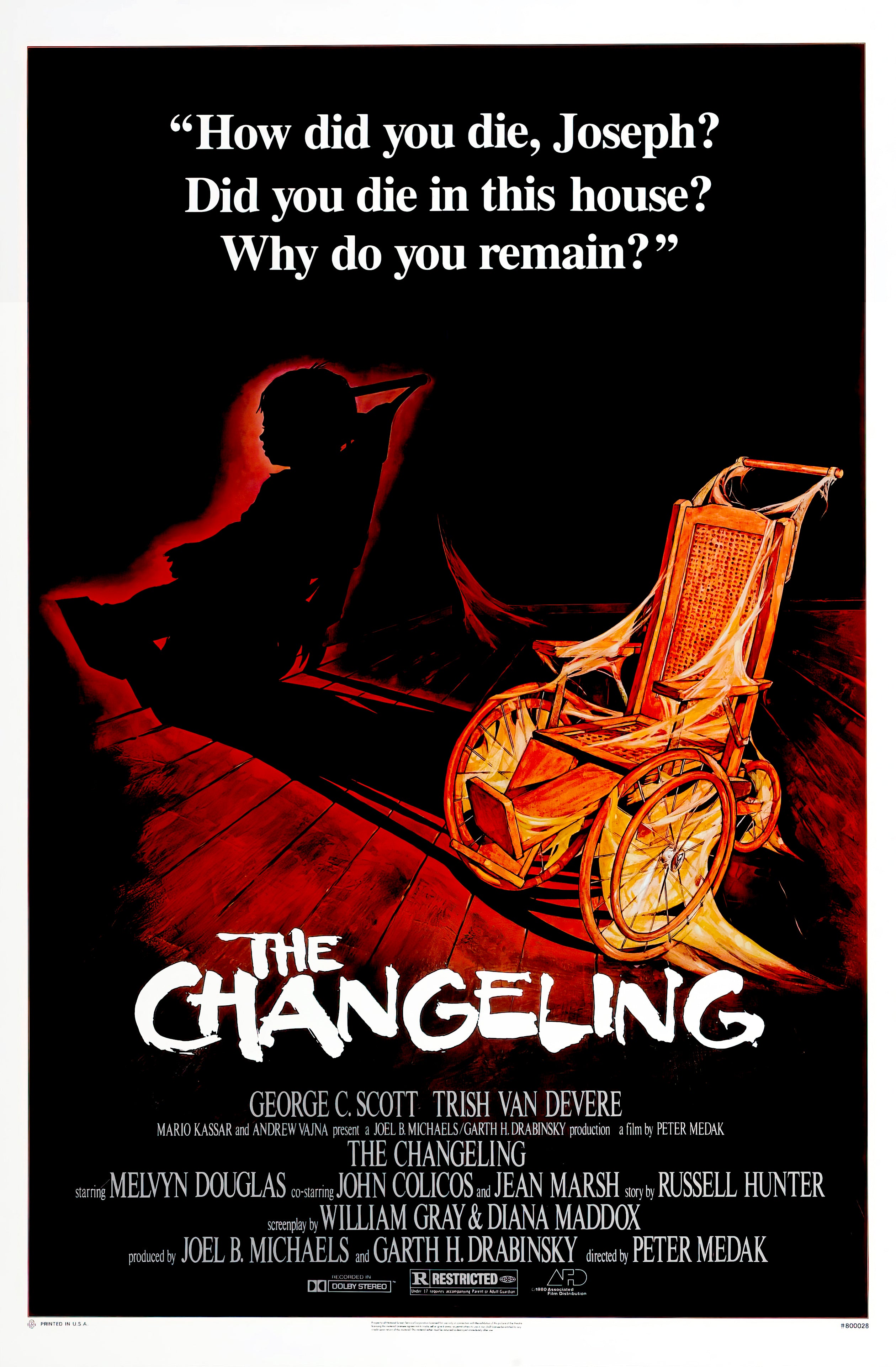 The Changeling (1993)