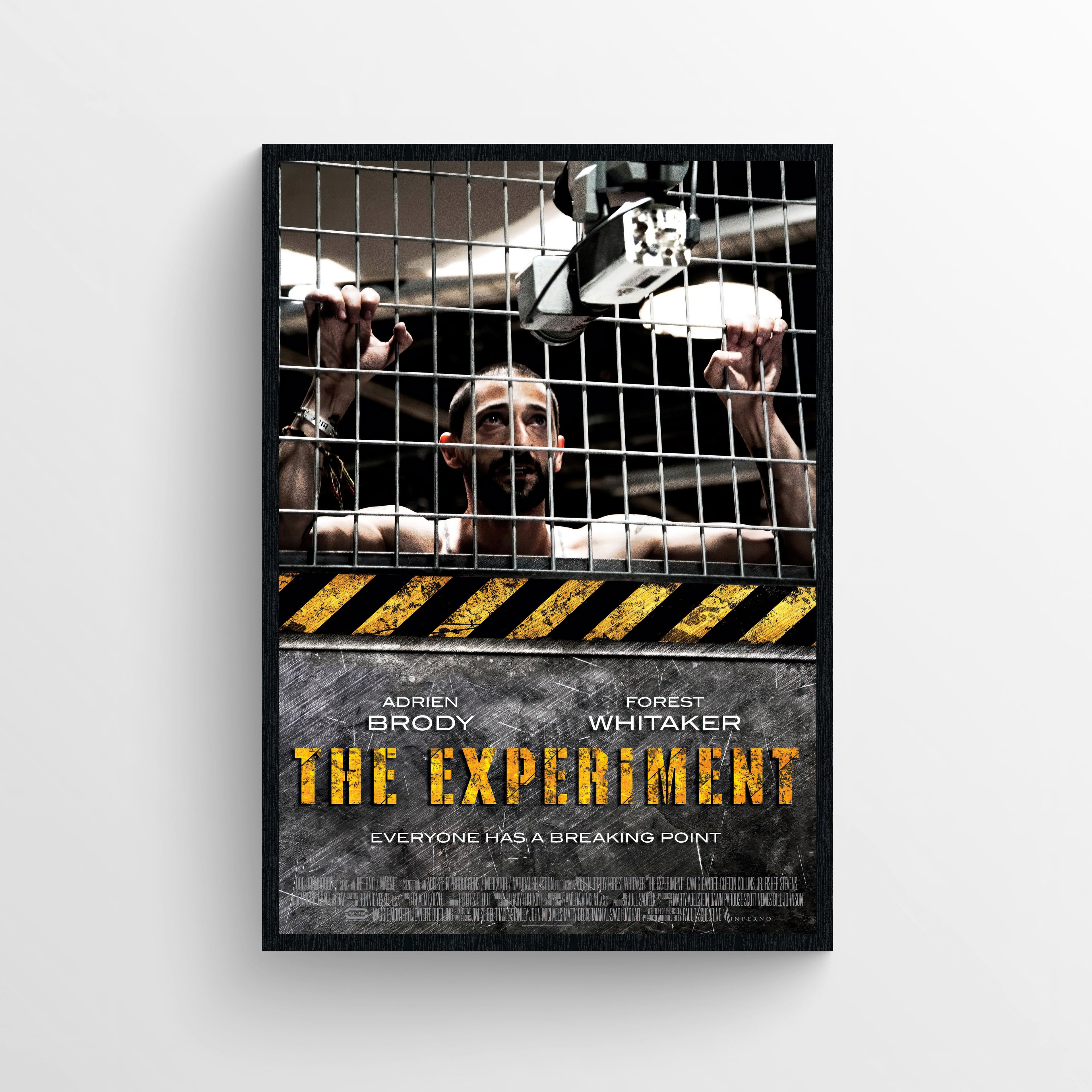 The Experiment (2016)