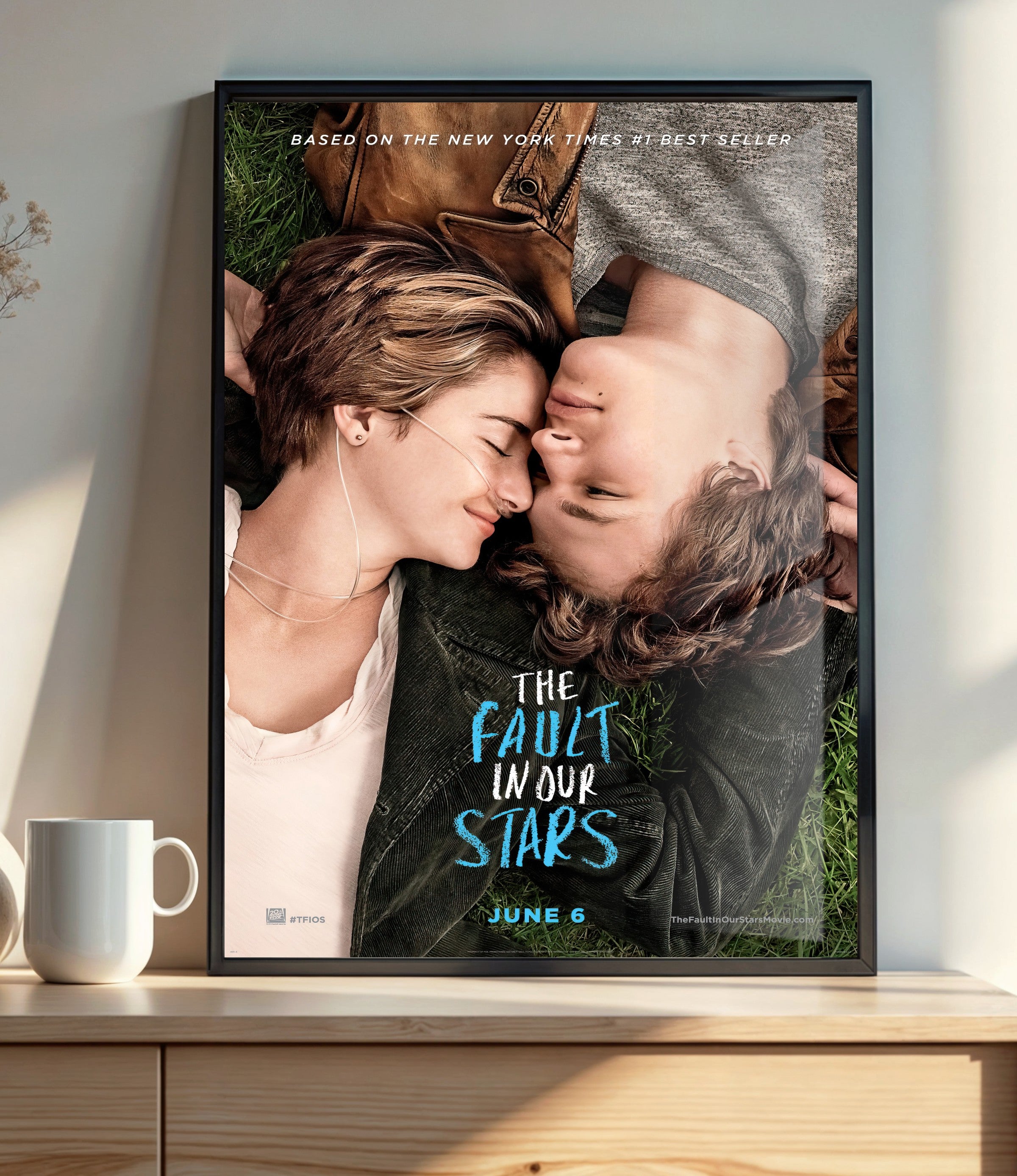 The Fault in Our Stars (2014)