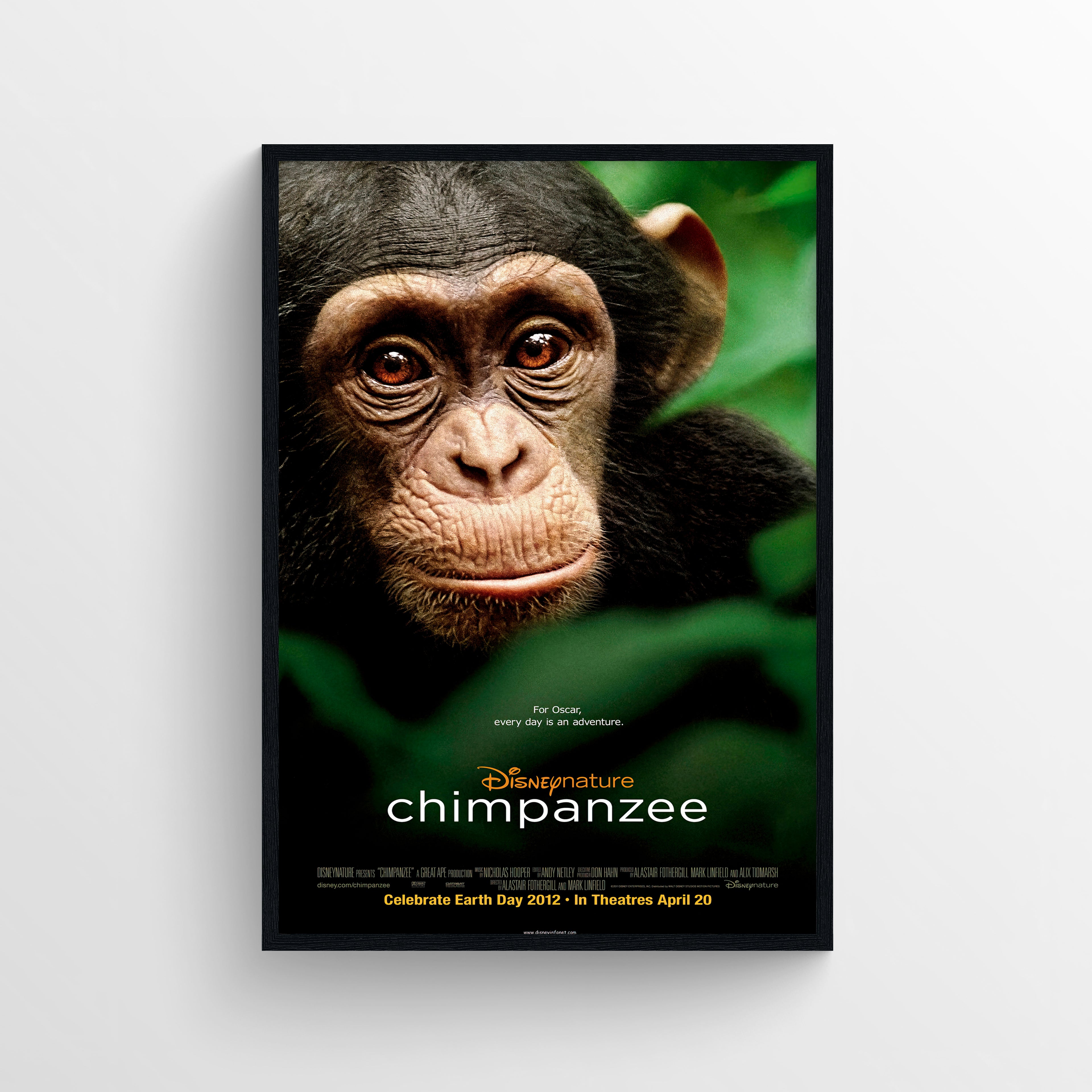 Chimpanzee (2012) - POSTER